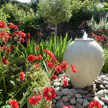 Back Garden