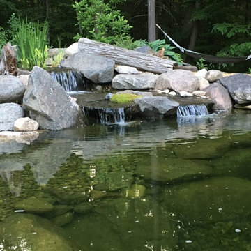 Back yard Oasis