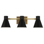 Sea Gull Lighting - Sea Gull Lighting 4441303-848 Towner - 3 Light Bath Vanity - The Towner lighting collection by Sea Gull LightinTowner 3 Light Bath  Black/Satin Bronze BUL: Suitable for damp locations Energy Star Qualified: n/a ADA Certified: n/a  *Number of Lights: Lamp: 3-*Wattage:60w A19 Medium Base bulb(s) *Bulb Included:No *Bulb Type:A19 Medium Base *Finish Type:Black/Satin Bronze