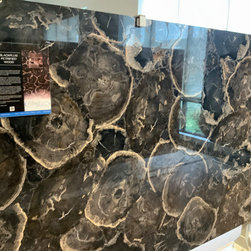 Black Plus Petrified Wood Semi Precious Countertops - Kitchen Countertops