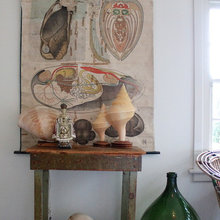 Collection Displays