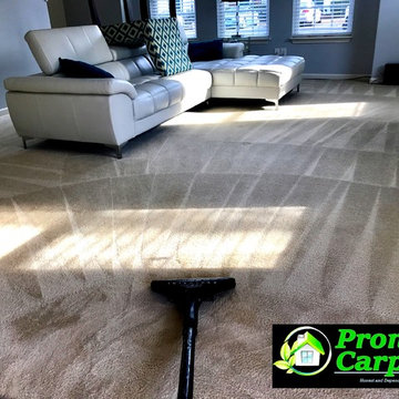 Carpet Steam Cleaning