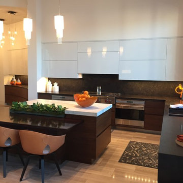 Contemporary- Houston