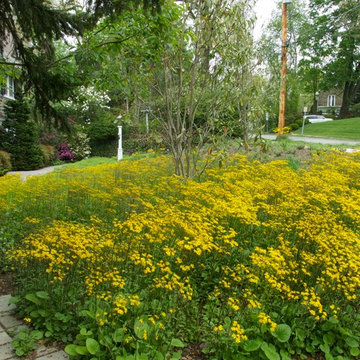 Ardmore Landscape Architect | Neo Classical Residence