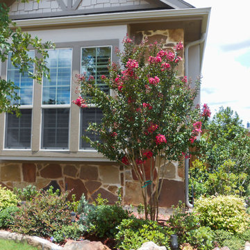 Centennial Crape Myrtle