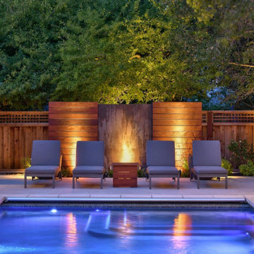 Custom Design-Build Swimming Pool + Spa | Alamo
