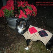 Anna Darsell Woloschek's photo