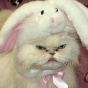 Christina Oprescu's photo