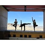Shawna Owen's photo