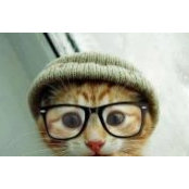 Maqua Zik's photo