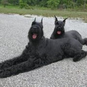 Jody Wolf's photo