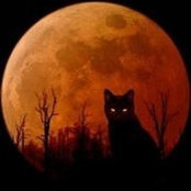 Lori DeGiglio's photo