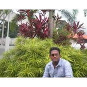 Foto von Sameera Rangana