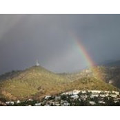 Alex Rowe's photo