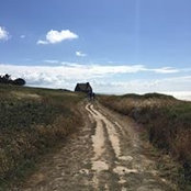 Celine Fenech's photo