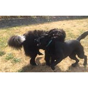 Katy Drennan's photo