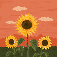 Designed by Ilins