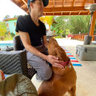 Jonathan Rosado's photo