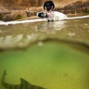 Jeffrey Wellman's photo