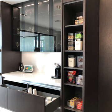 Modern Kitchen Remodel - Nahon Residence