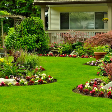 Front Yards - Turf Alternatives