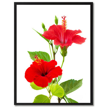 Red Hibiscus Flower Print on Canvas with Picture Frame, 13"x17"