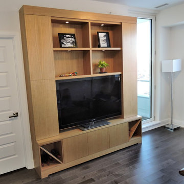 Entertainment Unit