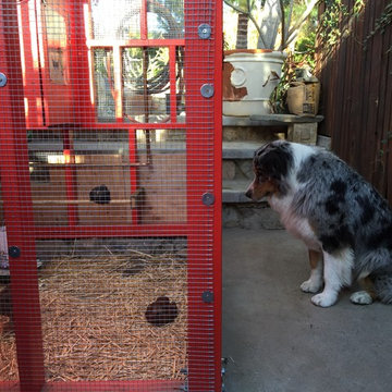 La Crescenta Chicken Coop