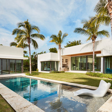 Palm Trail Modern