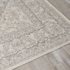 Converge White Gray Elegant Faded Traditional Rug, 5'3" x 7'7"