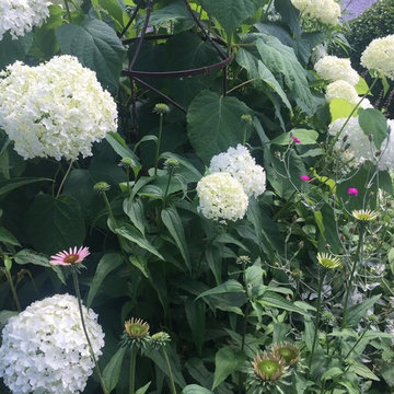 Full Landscape Renovation