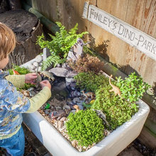 Jardín de la semana: El paraíso en miniatura de un niño de 3 años