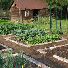 Potager