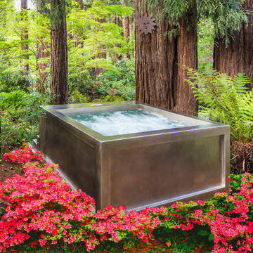 The Monarch Energy Efficient Stainless Steel Spa