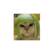Barbara Wittmann's photo