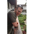Sykes Joinery Contractors's profile photo