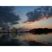 Carroll McGillin's photo