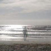 Julia Hein's photo