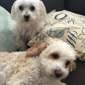 Gabrielle Malman's photo
