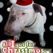 Nicci Rigby's photo