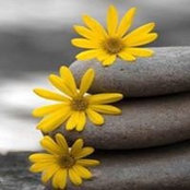 Susanne Guthrie's photo