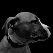 Stefan Stewart's photo