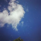 Chandni Chandan-Sahrawat's photo