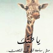 Doha Shehata's photo