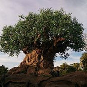 Paul Radley's photo
