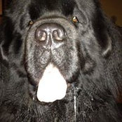 Sharon Farrelly's photo