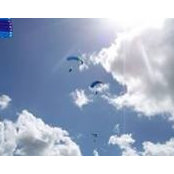 Tina Wright's photo