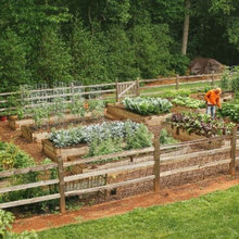 Saw Mill Farm