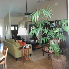Living Room Ideas