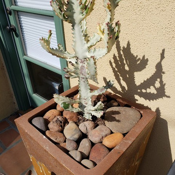 Cactus Garden and Native Garden!